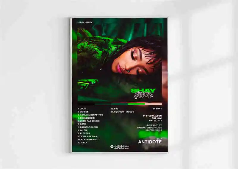 French Rap Pop Music Album Poster Aesthetic 2pac Pnl Plk ERRR Hip Hop Rock Canvas Print Wall Art Print Home Office Room Decor